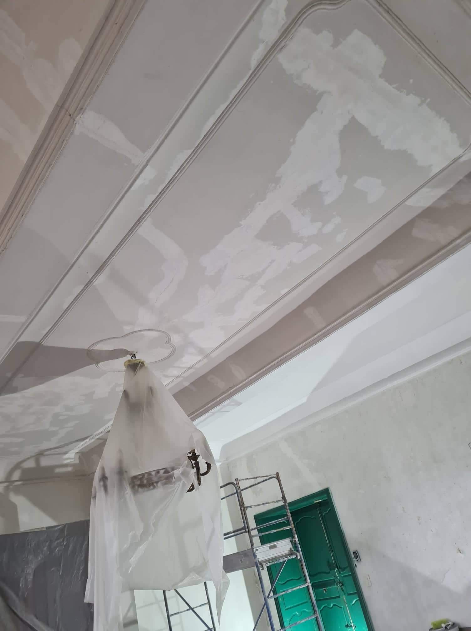 restauration plafond toulouse