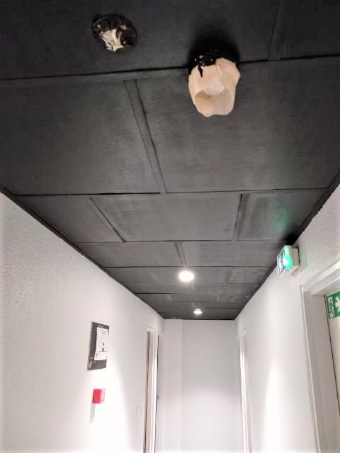 peinture plafond toulouse