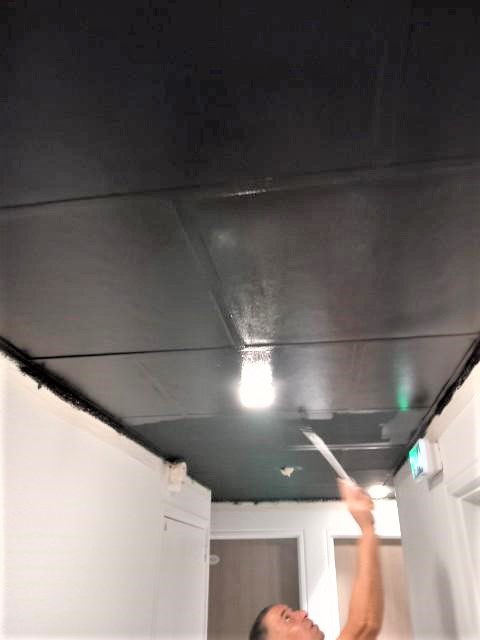 peintures plafond toulouse